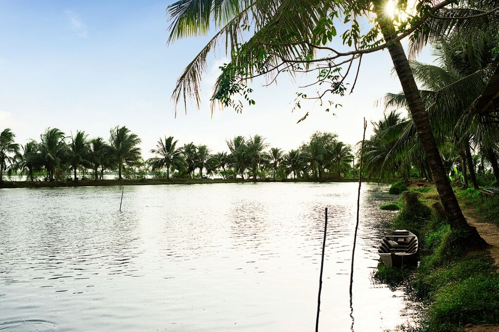 Kỹ thuật nuôi tôm nước ngọt