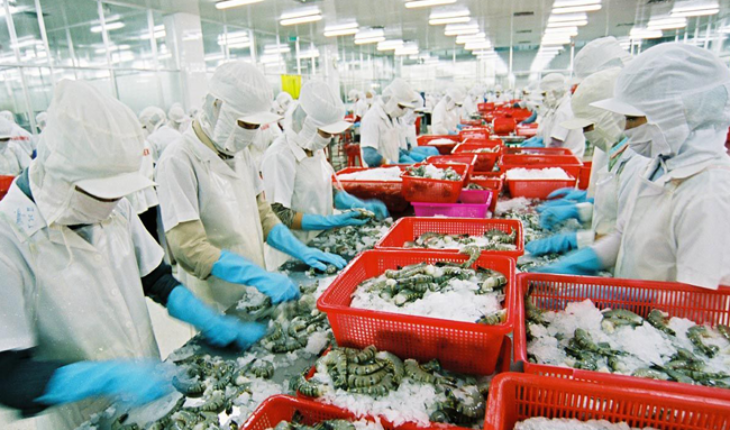 Cơ sở nuôi trồng có chứng nhận VietGAP thủy sản là đối tác tin cậy cung cấp nguyên liệu cho đơn vị sản xuất thực phẩm