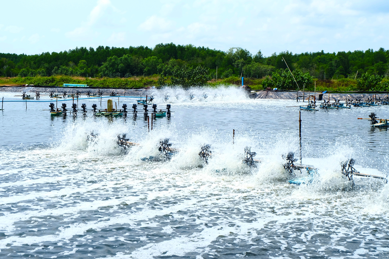 HỖ TRỢ – ĐÀO TẠO NHÂN VIÊN KINH DOANH TRONG LĨNH VỰC THỦY SẢN